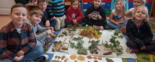  Lekcja przyrody w oddziale przedszkolnym